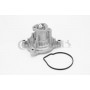 WPS3019 CONTINENTAL CTAM Водяний насос охолодження двигуна