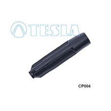 CP004 TESLA Вилка, Свічка запалювання