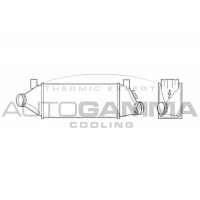 Интеркулер AUTOGAMMA 103430