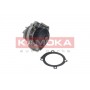 T0118 KAMOKA Водяний насос охолодження двигуна