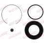 114-0288 QUICK BRAKE Ремкомплект, Гальмівний супорт