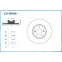 C210R2061 CWORKS Гальмівний диск