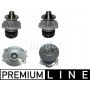 CP 17 000P MAHLE Водяний насос охолодження двигуна