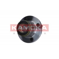 5500135 KAMOKA Комплект підшипника ступиці колеса