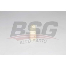 BSG 90-700-237 BSG Буфер амортизація
