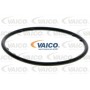 V10-50099 VAICO Водяний насос охолодження двигуна