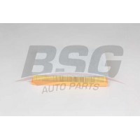 BSG 65-135-029 BSG Повітряний фільтр