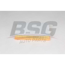 BSG 65-135-029 BSG Повітряний фільтр