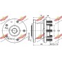 01.97821 AUTOKIT Комплект підшипника ступиці колеса