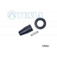 CP062 TESLA Вилка, Свічка запалювання
