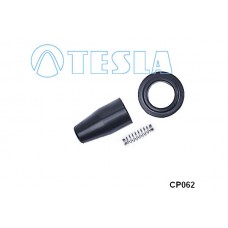 CP062 TESLA Вилка, Свічка запалювання