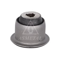 38RN2000 ASMETAL Підвіска важіль незалежної підвіски колеса
