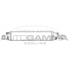 105943 AUTOGAMMA Интеркулер