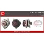 CAL32180GS CASCO Генератор