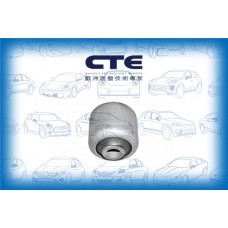 CBH09001 CTE Підвіска важіль незалежної підвіски колеса