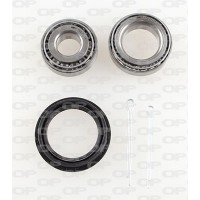HBK5197.00 OPEN PARTS Комплект підшипника ступиці колеса