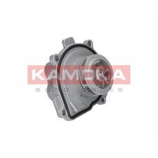 T0009 KAMOKA Водяний насос охолодження двигуна