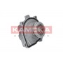 T0009 KAMOKA Водяний насос охолодження двигуна
