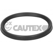 Ущільнювальне кільце, Трубка нагнітається повітря CAUTEX 773502