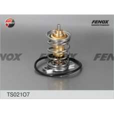TS021O7 FENOX Термостат охолоджувальна рідина