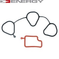 96352281 ENERGY Комплект прокладок впускний колектор