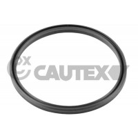 Ущільнювальне кільце, Трубка нагнітається повітря CAUTEX 769724