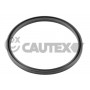 Ущільнювальне кільце, Трубка нагнітається повітря CAUTEX 769724