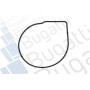 PA10033 BUGATTI Водяний насос охолодження двигуна