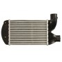 Интеркулер THERMOTEC DAF006TT