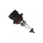 78-0148 MAXGEAR Лампа розжарювання, Основна фара