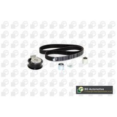 WG1487906 WILMINK GROUP Комплект ременя ГРМ