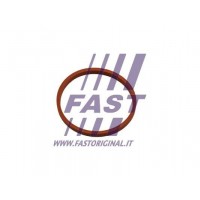 Ущільнювальне кільце, Трубка нагнітається повітря FAST FT48932