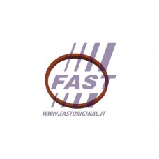 Ущільнювальне кільце, Трубка нагнітається повітря FAST FT48932