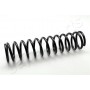 ZC5445A JAPANPARTS Пружина ходової частини