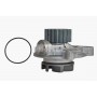 CP 31 000P MAHLE Водяний насос охолодження двигуна