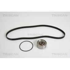8647 29002 TRISCAN Комплект ременя ГРМ
