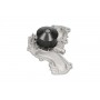 MW-1456 KAVO PARTS Водяний насос охолодження двигуна