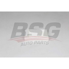 BSG 65-145-015 BSG Фільтр повітря у внутрішньому просторі