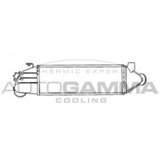 103099 AUTOGAMMA Интеркулер