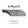 1.21858 DT Spare Parts Поліклиновий ремінь