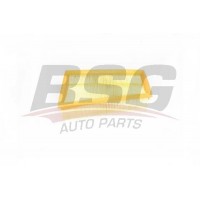 BSG 75-135-003 BSG Повітряний фільтр