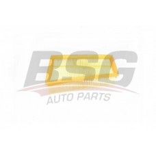 BSG 75-135-003 BSG Повітряний фільтр
