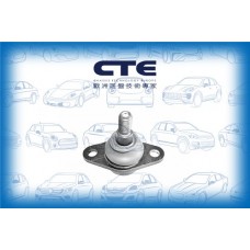 CBJ09005 CTE Шарнір незалежної підвіски поворотного важеля