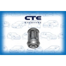 CBH05007 CTE Підвіска важіль незалежної підвіски колеса
