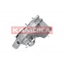 T0238 KAMOKA Водяний насос охолодження двигуна