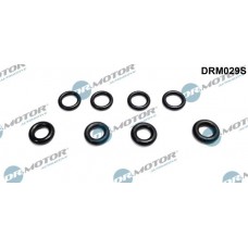 DRM029S Dr.Motor Automotive Прокладка, корпус форсунки