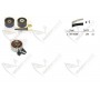 OBK010054 MABYPARTS Комплект ременя ГРМ