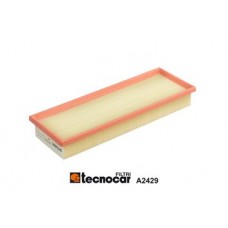 A2429 TECNOCAR Повітряний фільтр