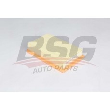 BSG 25-135-009 BSG Повітряний фільтр