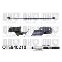QTS840210 QUINTON HAZELL Газова пружина кришка багажника